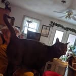 Jim McLendon - @jim.mclendon.169 - Instagram