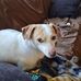 James Mcrae - Facebook
