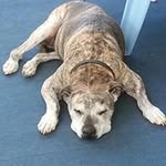 Jim McWilliams - @jimmcwilliams3 - Instagram