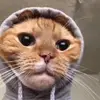 jimmiemeeks - @jimmiemeeks855 - TikTok
