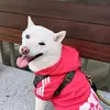 杏仁爸 - @jimmilk7995 - TikTok