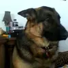 Jim McMillen - @jim.mcmillen - TikTok