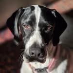 Jim Millican - @jimmillican - Instagram