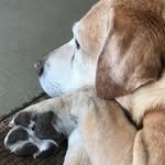 Jim Molinaro - @jimmolinaro - Instagram