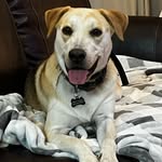 Jim Mudd - @jimmuddradio - Instagram