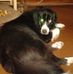 Jim Murchison - Facebook