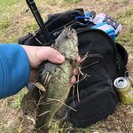 Jim Naylor - @jnaylor01 - Instagram