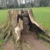 Jim Neil - @jim.neil0 - TikTok