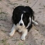 Jim Neilson - @jim_neilson - Instagram