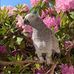 Jim Nelms - Facebook