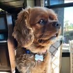 Jim Neu - @jimneu1981 - Instagram