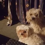 Jim Nevin - @nevinjim - Instagram