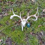 Jim Newman - @jim.newman.75033 - Instagram