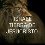JESUS EDUARDO JIMENO - @jimeno_newline - Instagram