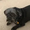 Jim - @jim.ogden - TikTok