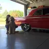 jimogle947 - @jimogle947 - TikTok