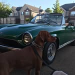 Jim Olive - @olive_jim - Instagram