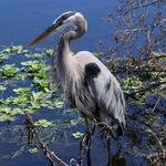 Jim Olson - @jim_olson_photography - Instagram