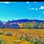 Jim Ortega - @jim.ortega - Instagram