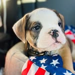Jim Ortega - @senor_winston_oeb - Instagram