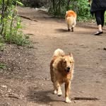 Jim Osborn - @jim.osborn - Instagram