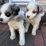 Jim Osborn - @jimosborn47 - Instagram