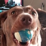 Jim Osborne - @jim.osborne.9822 - Instagram