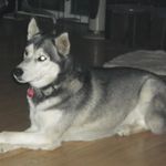 @jim.osgood.56 - Instagram