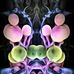 Jim Osgood - Facebook