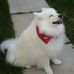 Jim Osgood - Facebook