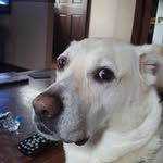 Jim Page - @jim_page_ - Instagram