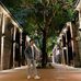 Jim Pai - Facebook