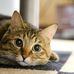 Jim Pai - Facebook