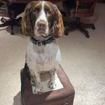 Jim Partridge - @jimparty1 - Instagram