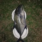 Jim Pate - Facebook