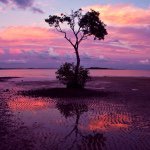 Jim Paulson - @jim.paulson004 - Instagram