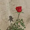 JimPérez_25 - @jimperez_25 - TikTok