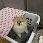 JimmyBmw Pham - @jimpham_9 - Instagram