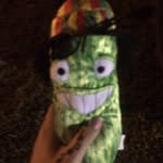 Jim Bob The Cucumber Or Pickle - @jimbobthecucumberorpickle - Instagram