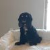 Jim Pieper - Facebook