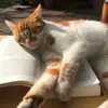 Jim Pilon - @jim.pilon - TikTok
