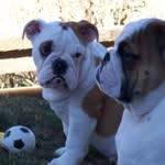 Sue Jim Pinney - @jimandi89403 - Instagram