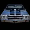 jimmypipkins - @jimmypipkins - TikTok