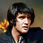 Jim Presley - @jimpresley1 - Instagram