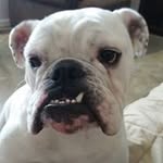 Jim Purdy - @purdy9031 - Instagram