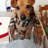 jimpurdy533 - @jimpurdy533 - TikTok