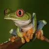 jimpyles171 - @jimpyles171 - TikTok