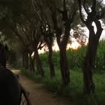 Jim Rael - @jim.rael - Instagram