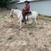 Jim Raleigh - Facebook