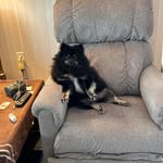 Jim Redding - @reddingjim - Instagram